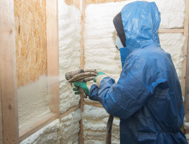 Professional Insulation Services in Carol Stream, IL